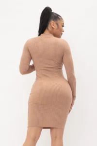 Choker Neck Midi Dress with Long Sleeves