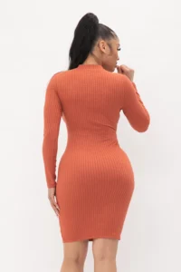 Choker Neck Midi Dress with Long Sleeves